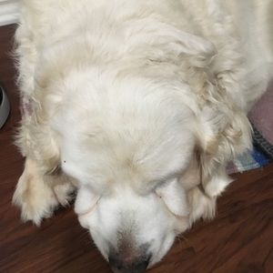 Meet your Posher, Melisa